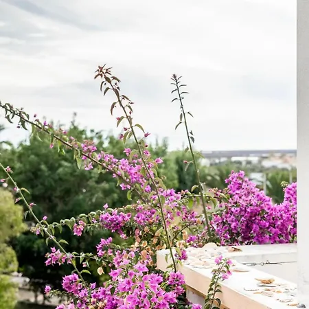 Lejlighed Grupo Morgado - Quinta Do Morgado - Morgado Garden Tavira